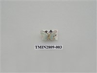 藏品(尺蛾431)的圖片